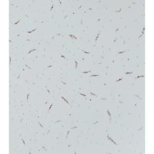 FISSURED 2X2X14MM BR (CJ X 10) POWERTEK